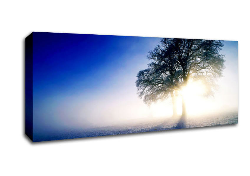 Picture of Misty Tree At Sunrise Panoramic Canvas Wall Art