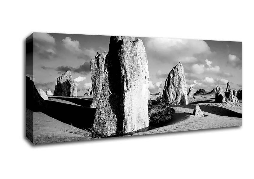 Picture of Desert Architect B n W Panoramic Canvas Wall Art