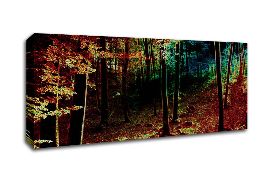 Picture of Rainbow Forrest 03 Panoramic Canvas Wall Art