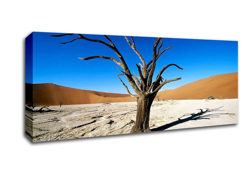 Picture of Desert Tree Branches Panoramic Canvas Wall Art