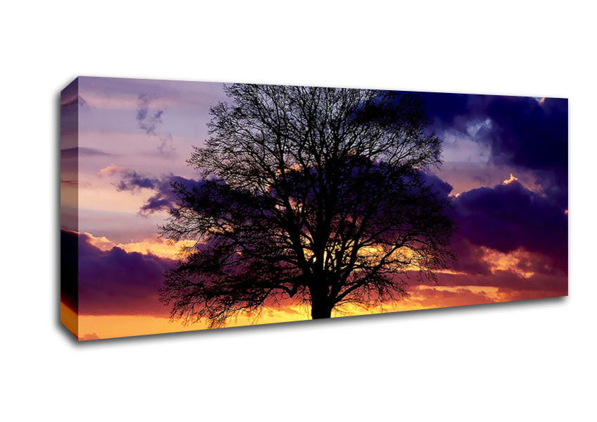 Picture of Oak Trees Light Panoramic Canvas Wall Art