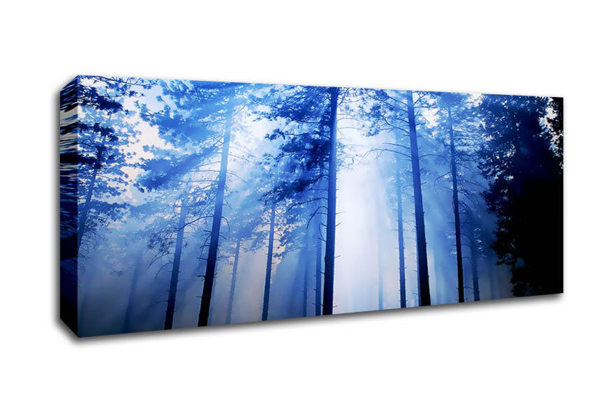 Picture of Sunlight Mist Through The Trees Panoramic Canvas Wall Art