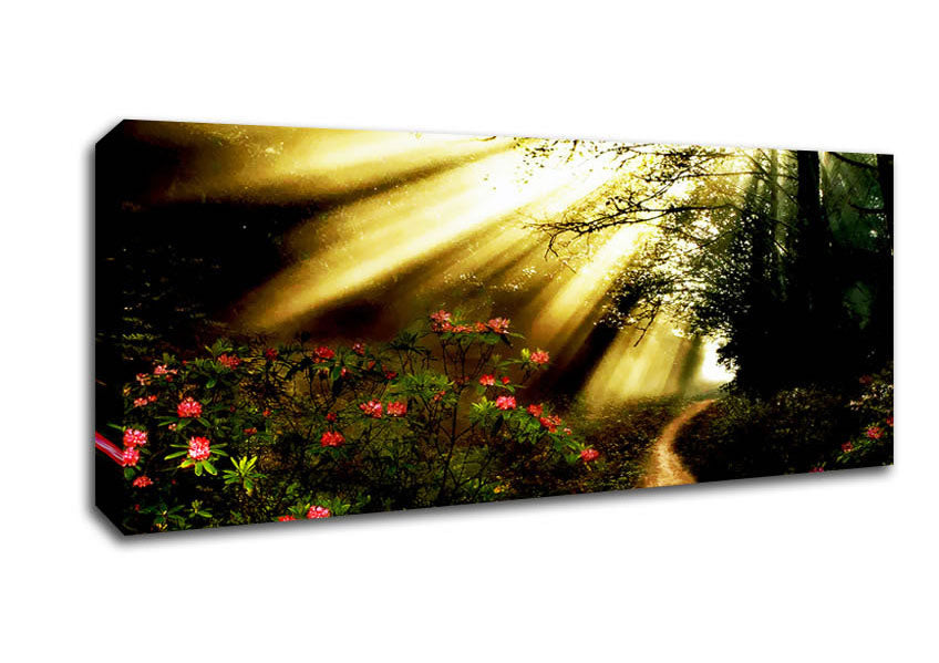 Picture of Mystical Garden Path Panoramic Canvas Wall Art