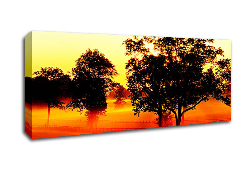 Picture of Orange Treeline Mist Panoramic Canvas Wall Art