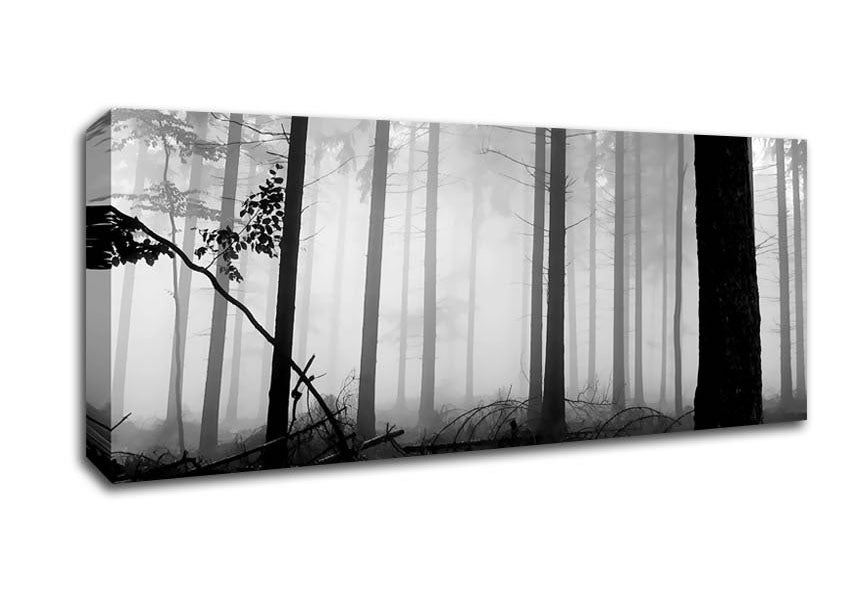 Picture of Black n White Woodland Mist Panoramic Canvas Wall Art