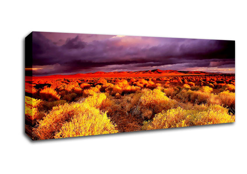 Picture of Storm Over Desert Panoramic Canvas Wall Art