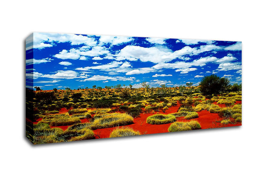 Picture of Desert Grass Panoramic Canvas Wall Art