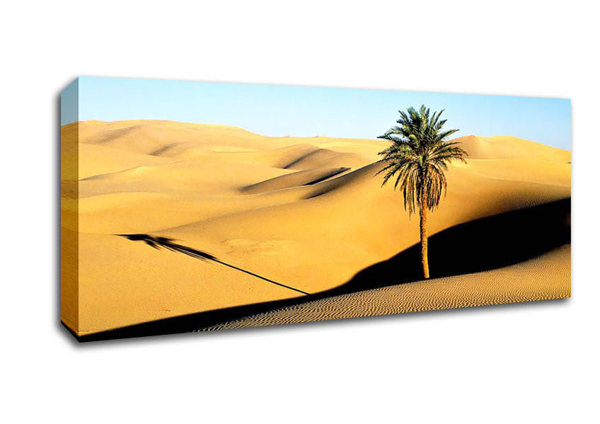 Picture of Desert Palmtree Panoramic Canvas Wall Art