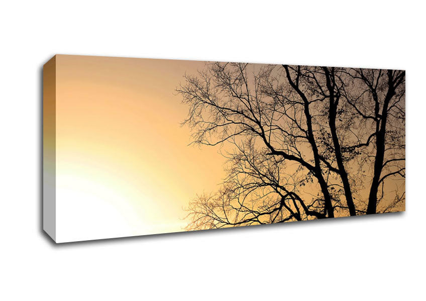 Picture of Calm Winter Sun Panoramic Canvas Wall Art