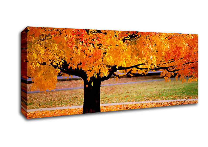 Picture of Orange Autumn Tree Panoramic Canvas Wall Art