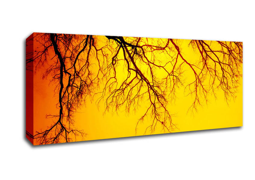 Picture of Golden Tree Branches Panoramic Canvas Wall Art