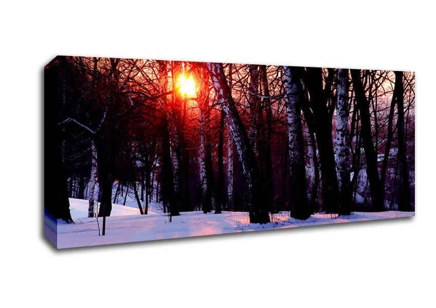 Picture of Winter Woodland Sun Panoramic Canvas Wall Art