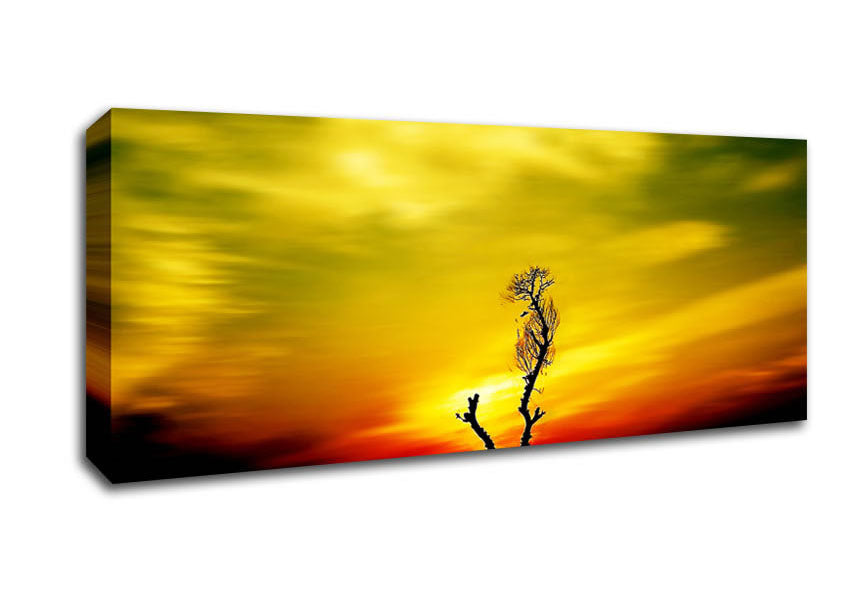 Picture of Stunning Sky Delight Panoramic Canvas Wall Art