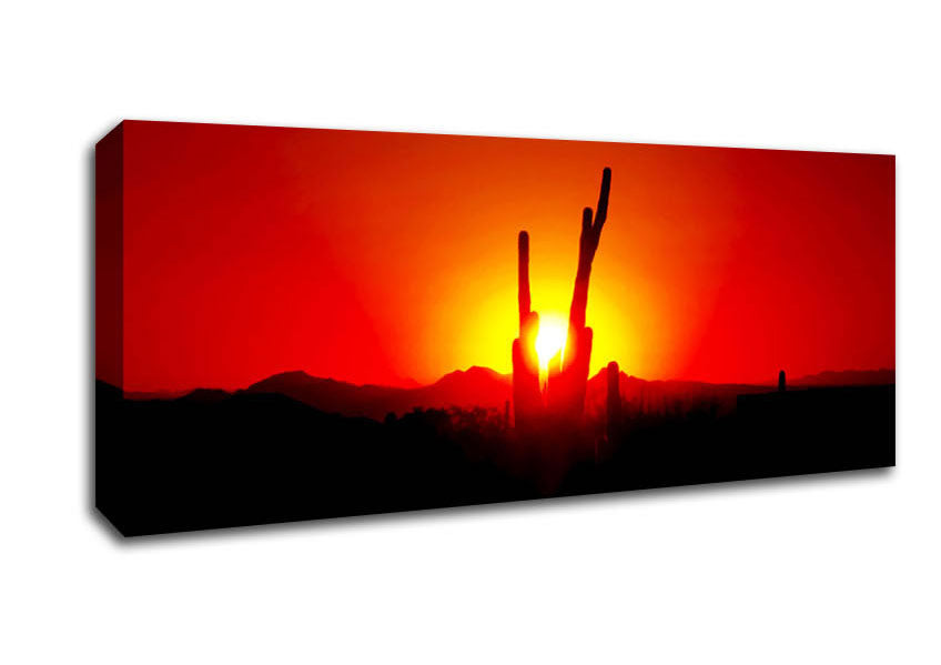 Picture of Cactus In Sunlight Panoramic Canvas Wall Art