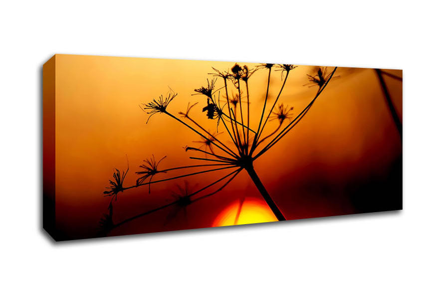 Picture of Sunset Through The Reeds Panoramic Canvas Wall Art