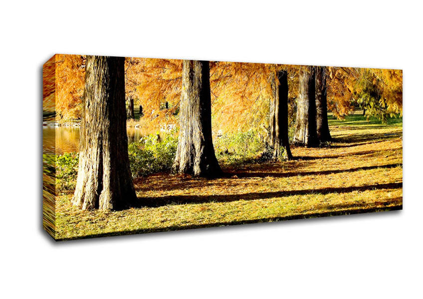 Picture of Orange Winter Woodland Walk Panoramic Canvas Wall Art