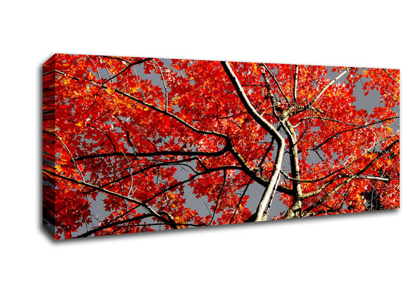 Picture of Red Tree Giant Panoramic Canvas Wall Art