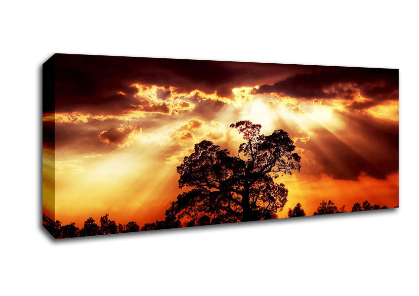 Picture of Stunning Cloud Sunrays Over The Morning Tree Panoramic Canvas Wall Art