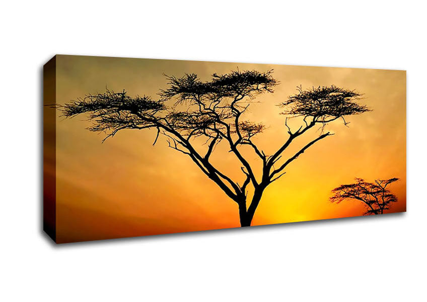 Picture of Arcania Tree Sunblaze Panoramic Canvas Wall Art