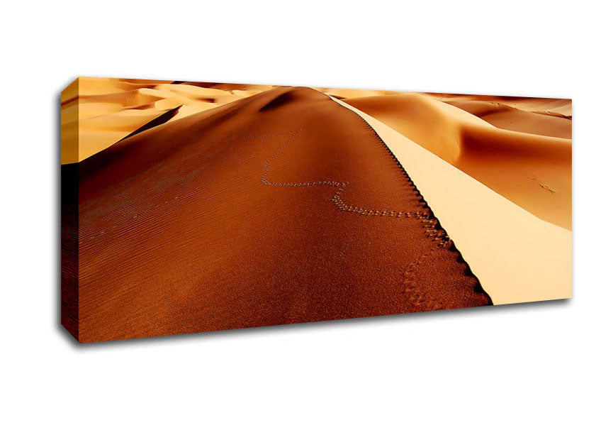 Picture of Sand Dune Patterns Panoramic Canvas Wall Art