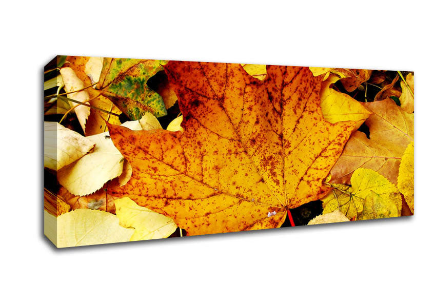 Picture of Autumn Leaves On The Ground Panoramic Canvas Wall Art