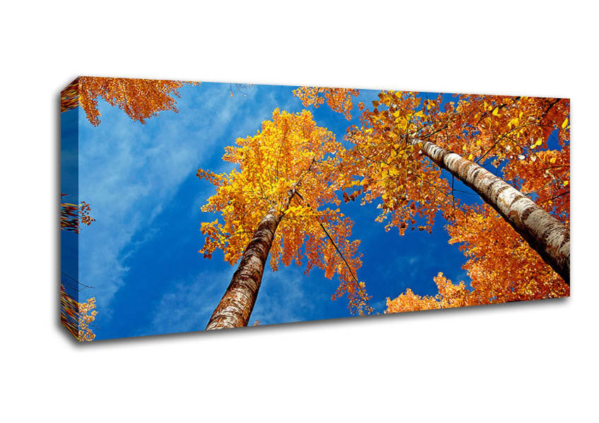 Picture of High Above The Tree Tops Panoramic Canvas Wall Art