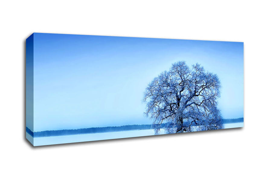 Picture of Blue Winter Tree Panoramic Canvas Wall Art