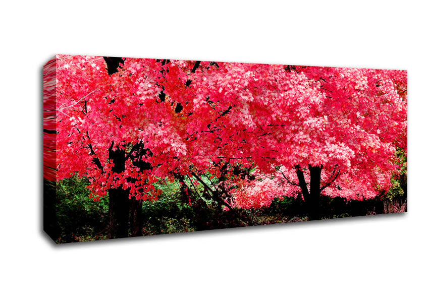 Picture of Pink Tree Heaven Panoramic Canvas Wall Art