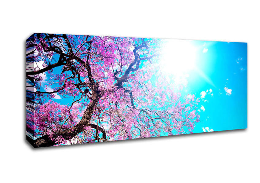 Picture of Blooming Spring Panoramic Canvas Wall Art