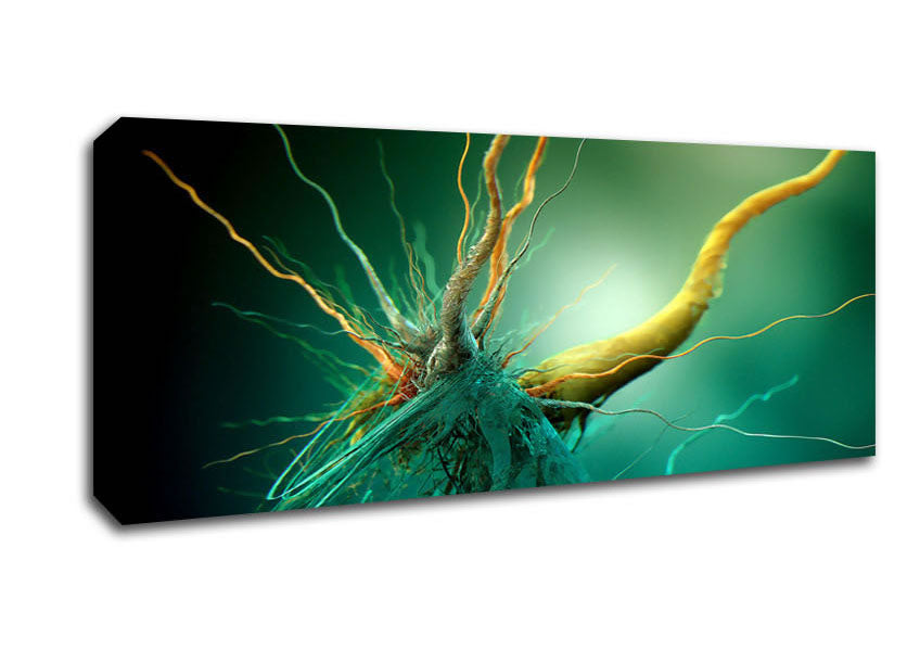 Picture of Bacteria Panoramic Canvas Wall Art