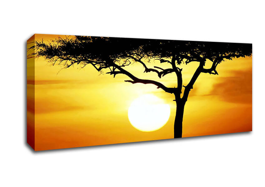 Picture of African Safari Tree In Sunlight Panoramic Canvas Wall Art