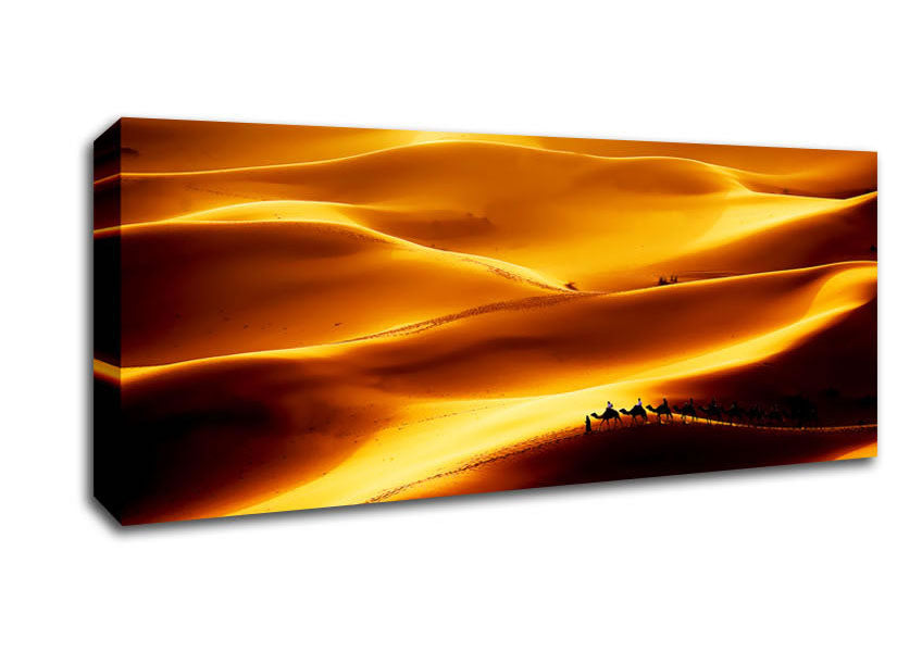 Picture of Camel Desert Panoramic Canvas Wall Art