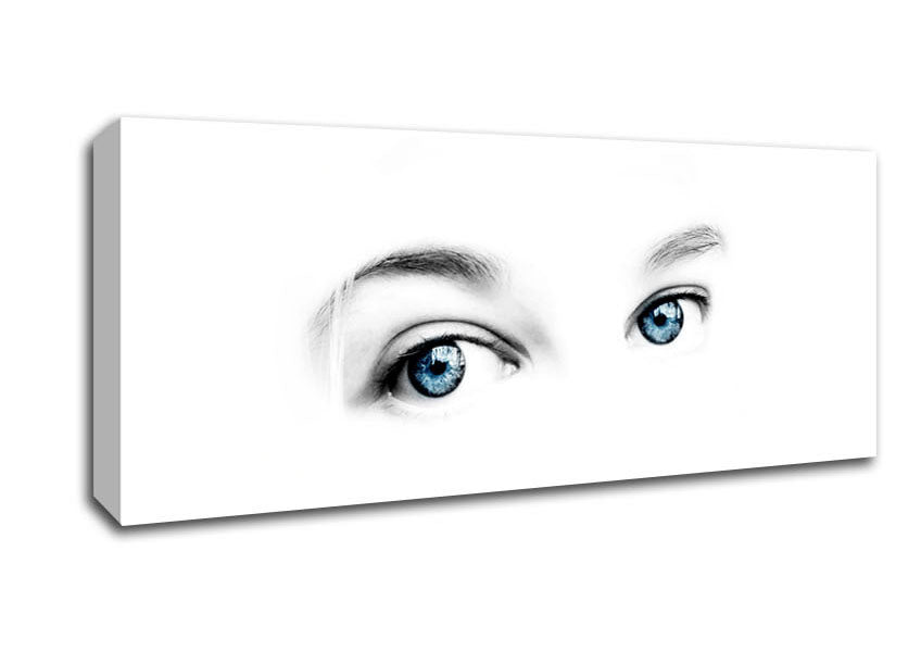 Picture of Blue Eyes Panoramic Canvas Wall Art