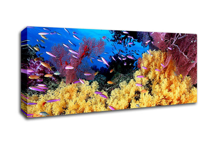 Picture of The Oceans Colour Panoramic Canvas Wall Art