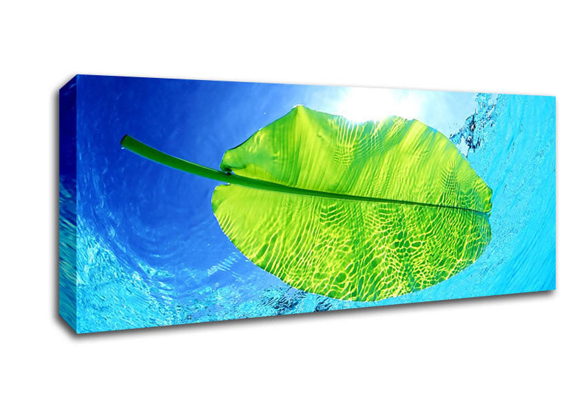 Picture of Blue Waters Of A Green Leaf Panoramic Canvas Wall Art