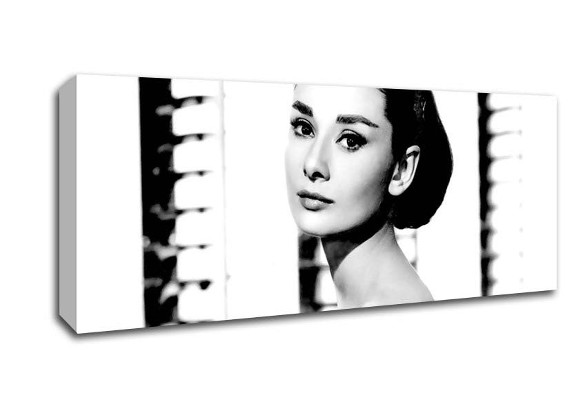 Picture of Audrey Hepburn Panoramic Canvas Wall Art