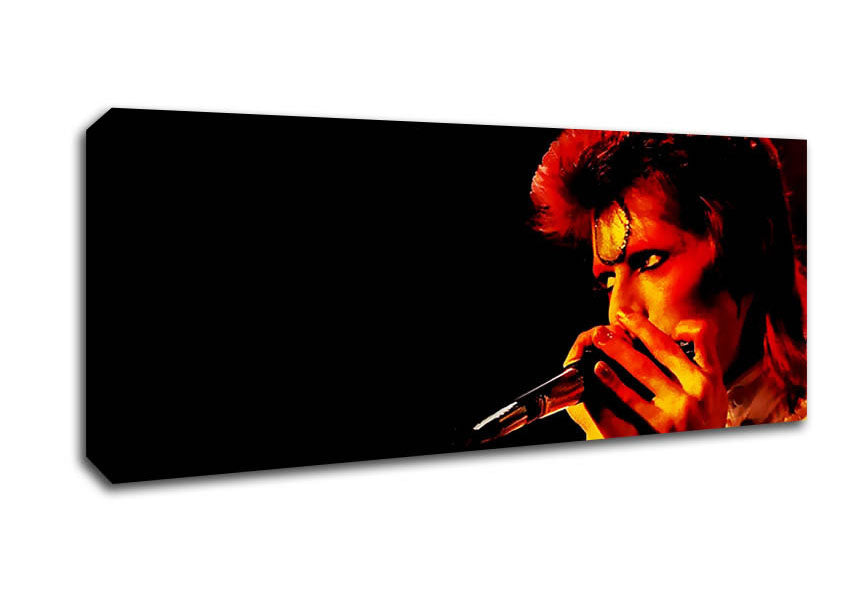 Picture of David Bowie Ziggy Pop Panoramic Canvas Wall Art