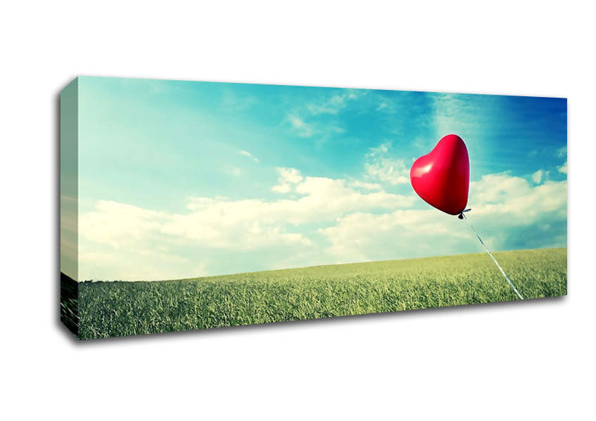 Picture of Alone Heart Flying Panoramic Canvas Wall Art