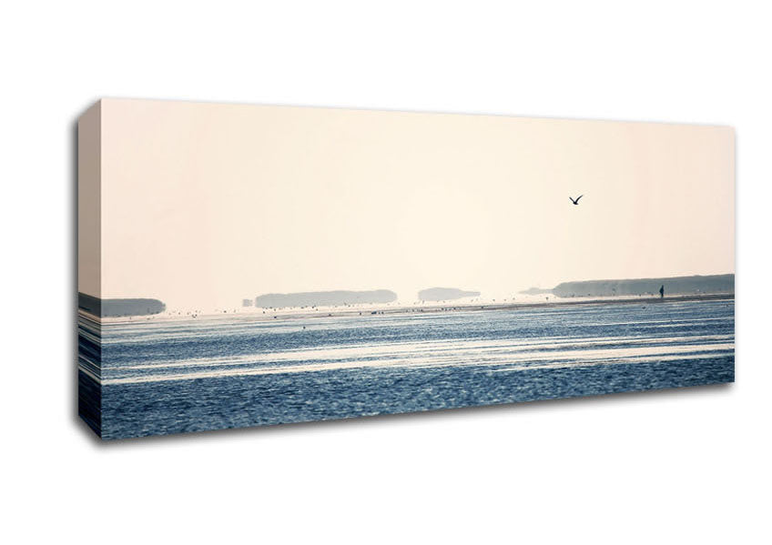 Picture of Morning Sea Bird Panoramic Canvas Wall Art