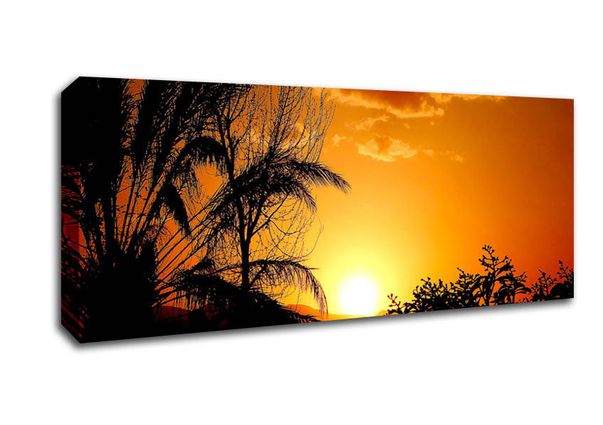 Picture of Beautiful Sunset Trees Panoramic Canvas Wall Art