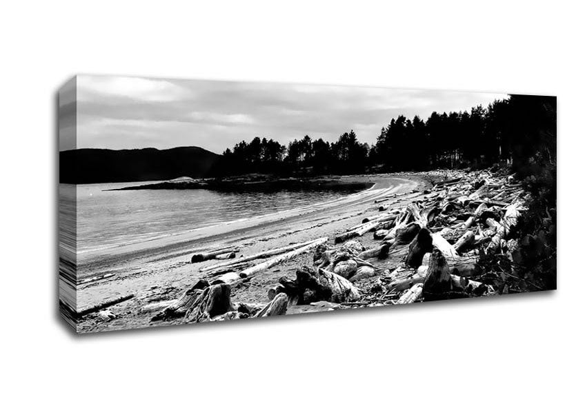 Picture of Black And White Driftwood Ocean Panoramic Canvas Wall Art