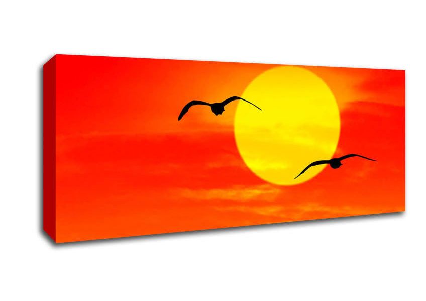 Picture of Seagulls At Sunrise Florida Panoramic Canvas Wall Art