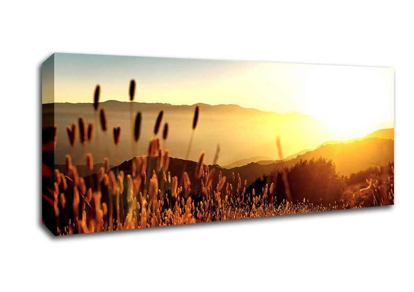 Picture of Late Summer Field Panoramic Canvas Wall Art