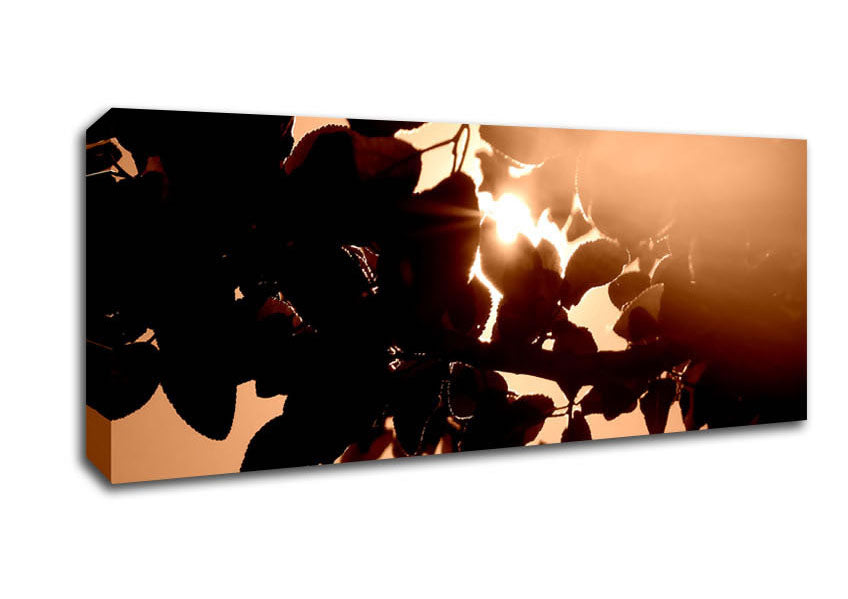 Picture of Sunlight Through Leaves Panoramic Canvas Wall Art