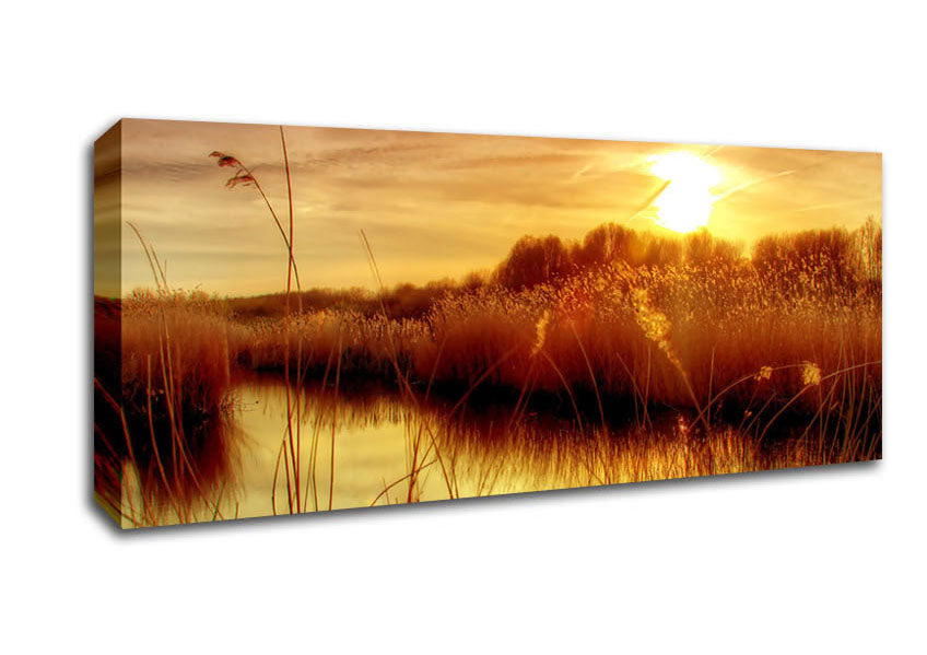 Picture of Sunset At Bieslandse Forest Panoramic Canvas Wall Art