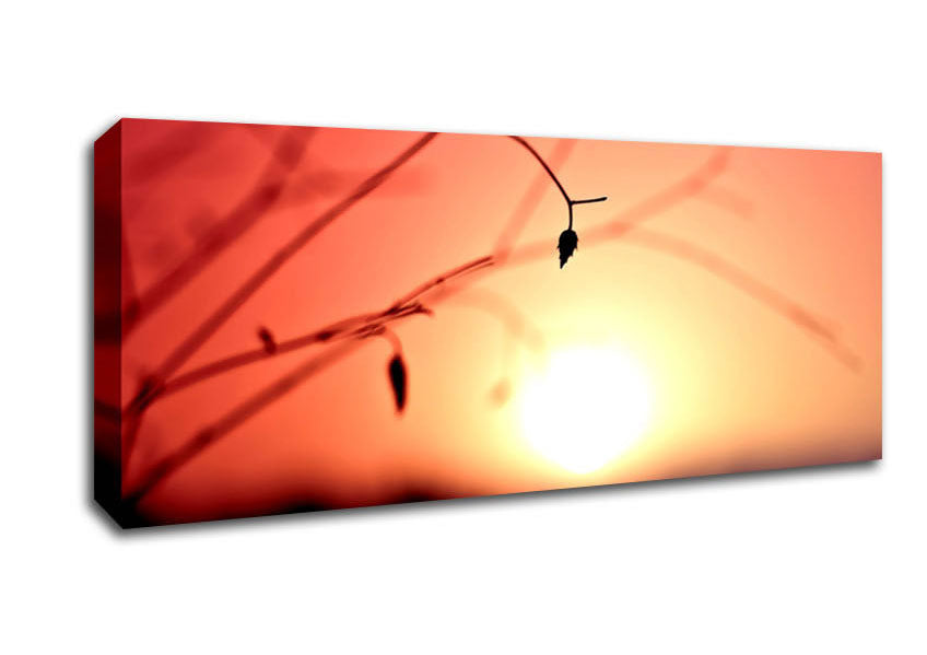 Picture of Sun Haze Panoramic Canvas Wall Art