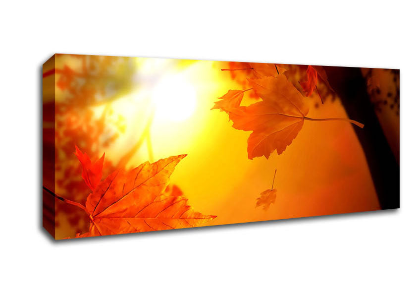 Picture of Orange Autumn Panoramic Canvas Wall Art