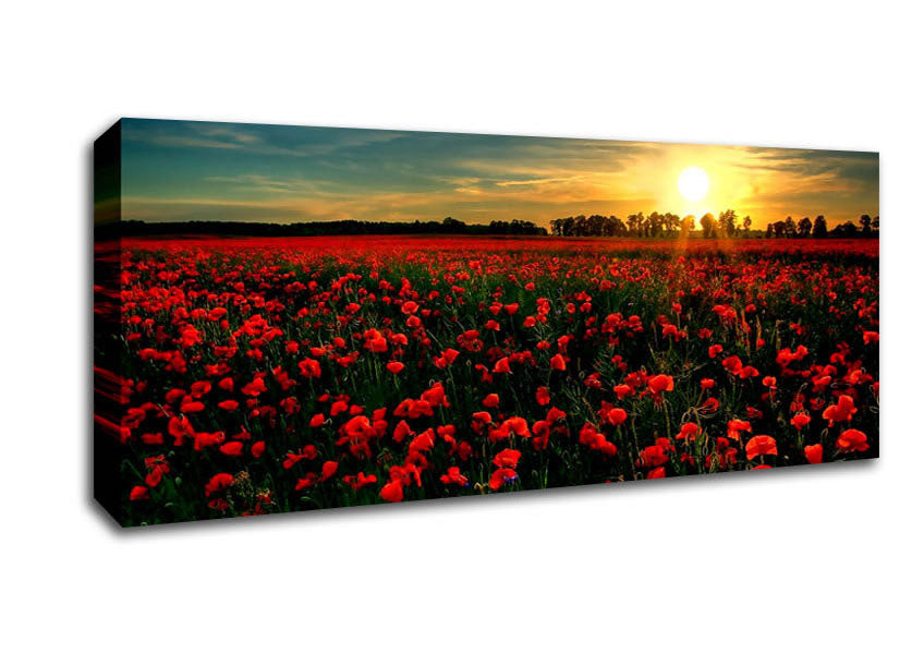 Picture of Red Flower Garden Panoramic Canvas Wall Art