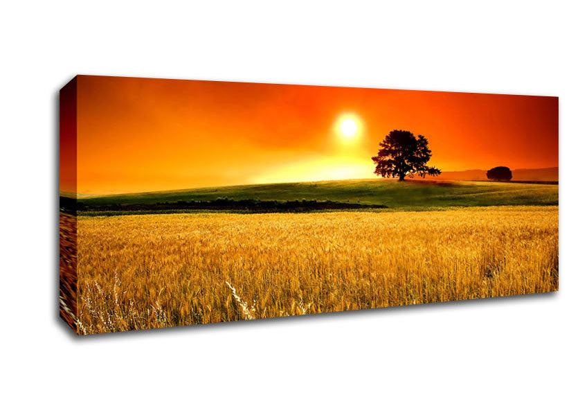 Picture of Sunny Day Panoramic Canvas Wall Art