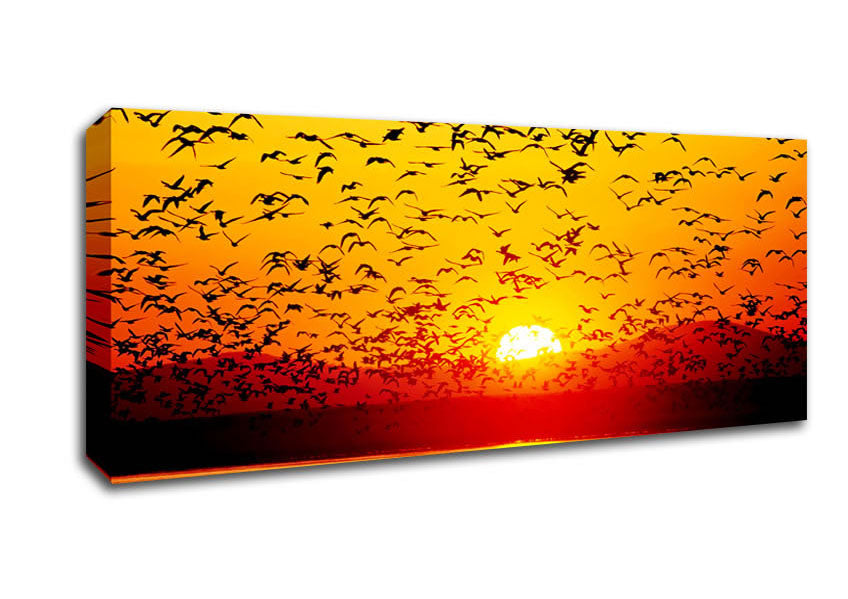 Picture of The Birds In The Golden Sunset Panoramic Canvas Wall Art